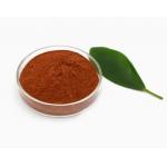 Buy Supply Copper Nano Powder Cu Nanoparticles, Electrolytic Copper Powder for sale