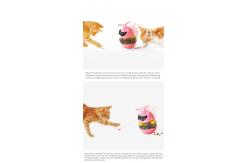 China Relieve Anxiety Track Cat Tumbler Toy / Automated Laser Pointer Cat Toy supplier