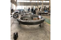 China Rotary Table Slewing Ring Bearing supplier