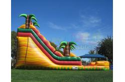 China Multicolor Amusement Pool Full Printing Inflatable Water Slide supplier