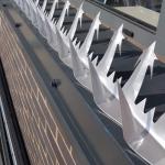 Razor Barbed Anti Intruder Fence Spikes For Security for sale