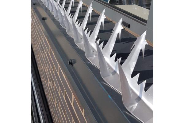 Razor Barbed Anti Intruder Fence Spikes For Security