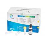 Semen Sample Leukocytes Test Kit 40T/Kit For Male Reproductive Tract Infection Screening for sale