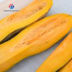 58KG Large melon and fruit slicing machine pumpkin fast slicing machine slicing machine