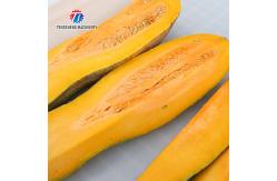 China Multifunctional SS Vegetable Processing Machine Pawpaw Melon Separator supplier