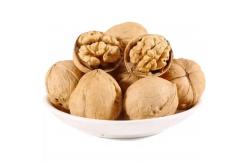 China Walnut wholesale kernel walnut Factory price Food supplements walnuts peptide supplier