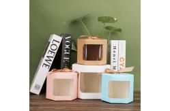 China Custom Hexagonal Kraft Paper Gift Box with Window Display supplier