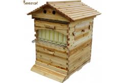 China Beehive And Frame Unassembled flow hive Plus 7 Honey Flow Frames Inside supplier