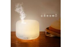 China HOMEFISH Ultrasonic Aroma Humidifier Diffuser Humidistat DC 24V 0.5A supplier