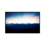 Hot Sell 10.1 inch TV101WUB-NW2-D8P0 1200*1920 LCD display for sale