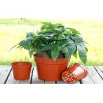 Plastic PP Desktop Horticultural Plant Pots Succulents Nursery Home Garden Plant for sale