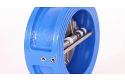 China Dn50 - Dn600 Industrial Control Valves , Odm Ss Check Valve supplier