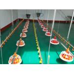 Broiler Chicken Layers Auto Feeding System Plastic Feed Pans for sale