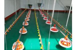 China Broiler Chicken Layers Auto Feeding System Plastic Feed Pans supplier
