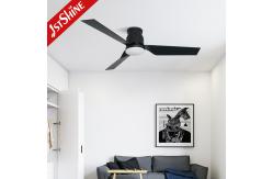 China Manufacture Fan Low Profile Dimmable Led Ceiling Fan With ABS Blade Black supplier