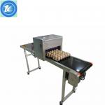 Electrical Egg Batch Number Printing Machine , Date And Batch Printing Machine for sale