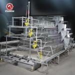 Manure Cleaning Broody Chicken Cage Eggs Collecting Controllable for sale