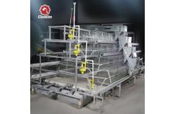 China Full Automatic Manure Cleaning System Baby Chick Cage supplier