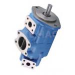 Double Pumps Cartridge Stainless Steel Gear Pump For  Excavator for sale