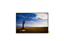 China B133HAN05.B 13.3 inch 30pins 1920*1080 LCD Display Module supplier