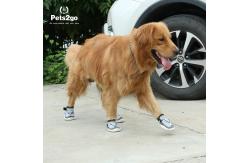 China Breathable Mesh 23.5x7.2cm 500g Dog Running Shoes supplier