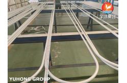 China 304L Stainless Steel Seamless U Bend Tubes ASME SA213 TP304L Heat Exchanger Applications supplier
