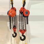 Easy Installation Energy Saving Electric Chain Hoist For Construction Use for sale