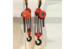 China Customized Simple Electric Lifting Hoist 2 Chain Falls For Tank Construction supplier