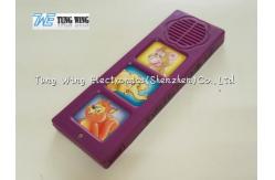 China Zoo Animal 3 Sounds Module For Children Educational Book supplier