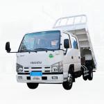 ISUZU 4X2 Dumper Tipper Truck Back Flip Dump Side Dumper Highway Transportation