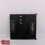 3624  TRICONEX Output Module Digital