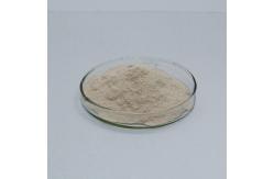 China Detergent Industry Alkaline Protease Enzyme 50000u/G-1500000u/G supplier