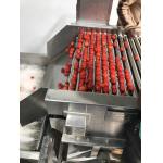 Low Energy Tomato Processing Machine Forced Circulation Evaporator 200KG Weight for sale