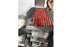 China Low Energy Tomato Processing Machine Forced Circulation Evaporator 200KG Weight supplier