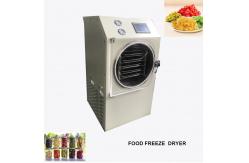 China Beautiful Appearance Mini Freeze Dryer Machine Touch Screen Fast Defrosting supplier