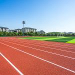 15mm Thickness Eco Sports Flooring Athletic Running Track Surface Material for sale