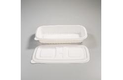 China 600ml CPLA 20oz Compostable Tableware Restaurants supplier