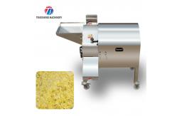 China 1000KG/H Papaya automatic dicing machine Large fruit and vegetable dicing machine supplier