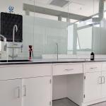 Wall Mounted Laboratory Work Station , Modern W750*H850mm Lab Work Benches for sale