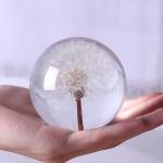Real dandelion in Clear resin ball flower resin ball ornament for sale