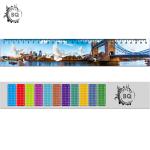 Deep Images 3D Dolphin Cartoon Scale Lenticular Photo Printing / PET Plastic Straight Ruler
