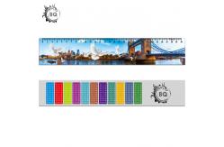 China Deep Images 3D Dolphin Cartoon Scale Lenticular Photo Printing / PET Plastic Straight Ruler supplier