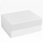 Custom Printed Cardboard Shoe Box Magnetic Folding  Bio degradable