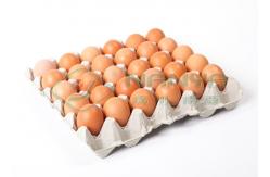 China Raper Egg Carton 6000pcs/hour Rotary Molding Machine supplier