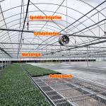 Thermostat Waterproof Plant Growing Hydroponics System Tunnel Large Greenhouses For Flower