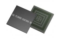 China Integrated Circuit Chip SAL-TC399XE-256F300S BD 16MB Flash Microcontroller IC BGA supplier