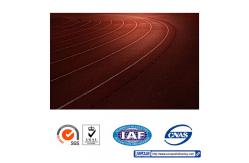China Abrasion Resistance Self Knot Pattern Jogging Track Material Fadeless supplier