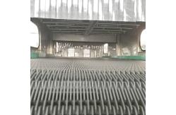 China Carrot Washing And Peeling Machine Stainless Steel Carrot Processing Equipment supplier