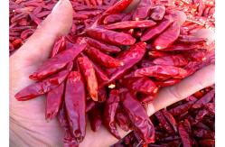 China 20000SHU Dried Chinese Chilis Vacuume Packing Spicy Chaotian / Tianjin Chilli supplier