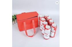 China Rosh 6 Can Cooler Bag Hydro Flask Tote Cooler For Beer Picnic supplier